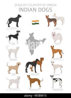 Hunde nach Herkunftsland. Indische Hunderassen. Hirten, Jagd, Hüten, Spielzeug, Arbeiten und Service Hunde eingestellt. Vector Illustration Stock Vektor