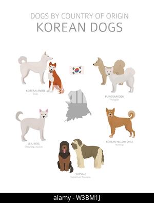 Hunde nach Herkunftsland. Koreanische Hunderassen. Hirten, Jagd, Hüten, Spielzeug, Arbeiten und Service Hunde eingestellt. Vector Illustration Stock Vektor