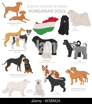 Hunde nach Herkunftsland. Ungarische Hunderassen. Hirten, Jagd, Hüten, Spielzeug, Arbeiten und Service Hunde eingestellt. Vector Illustration Stock Vektor