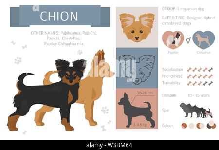 Designer, Enrage, hybrid mix Hunde Sammlung auf Weiß isoliert. Flat Style clipart eingestellt. Vector Illustration Stock Vektor