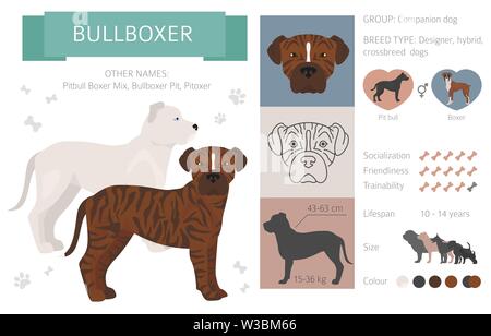 Designer, Enrage, hybrid mix Hunde Sammlung auf Weiß isoliert. Flat Style clipart eingestellt. Vector Illustration Stock Vektor