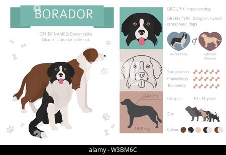 Designer, Enrage, hybrid mix Hunde Sammlung auf Weiß isoliert. Flat Style clipart eingestellt. Vector Illustration Stock Vektor