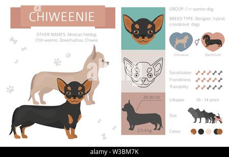 Designer, Enrage, hybrid mix Hunde Sammlung auf Weiß isoliert. Flat Style clipart eingestellt. Vector Illustration Stock Vektor