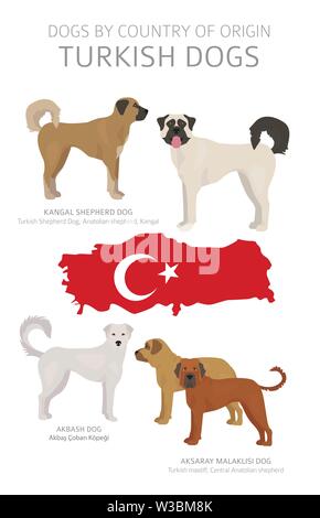 Hunde nach Herkunftsland. Türkische Hunderassen. Hirten, Jagd, Hüten, Spielzeug, Arbeiten und Service Hunde eingestellt. Vector Illustration Stock Vektor