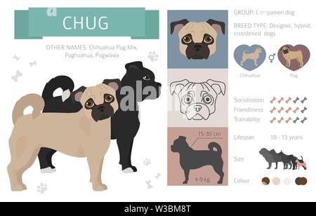 Designer, Enrage, hybrid mix Hunde Sammlung auf Weiß isoliert. Flat Style clipart eingestellt. Vector Illustration Stock Vektor