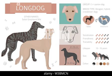Designer Hunde, Enrage, hybrid mix Hündchen Sammlung isoliert auf Weiss. Flat Style clipart Infografik. Vector Illustration Stock Vektor