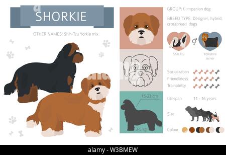 Designer, Enrage, hybrid mix Hunde Sammlung auf Weiß isoliert. Flat Style clipart eingestellt. Vector Illustration Stock Vektor