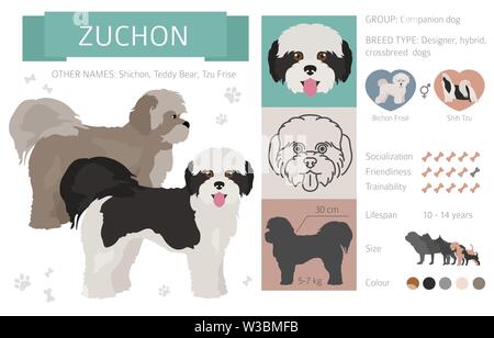 Designer, Enrage, hybrid mix Hunde Sammlung auf Weiß isoliert. Flat Style clipart eingestellt. Vector Illustration Stock Vektor