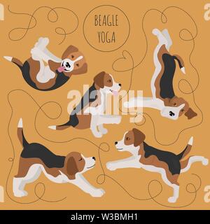 Yoga hunde Posen und Übungen. Beagle clipart. Vector Illustration Stock Vektor