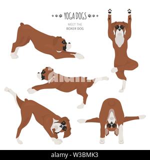 Yoga hunde Posen und Übungen. Boxer Hund clipart. Vector Illustration Stock Vektor