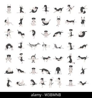 Yoga hunde Posen und Übungen clipart. Lustige cartoon Poster Design. Vector Illustration Stock Vektor