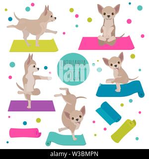 Yoga hunde Posen und Übungen. Chihuahua clipart. Vector Illustration Stock Vektor