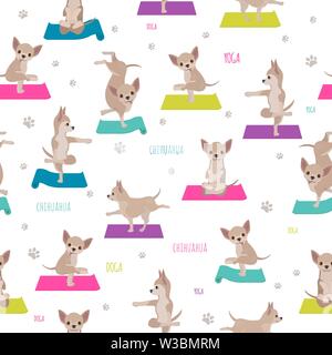 Yoga hunde Posen und Übungen. Chihuahua nahtlose Muster. Vector Illustration Stock Vektor