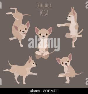 Yoga hunde Posen und Übungen. Chihuahua clipart. Vector Illustration Stock Vektor