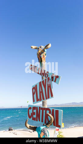 Bemalte Kuh Schädel auf einem Hinweisschild zum Strand Stockfoto