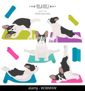 Yoga hunde Posen und Übungen. Französische Bulldogge clipart. Vector Illustration Stock Vektor