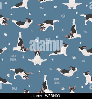 Yoga hunde Posen und Übungen. Französische Bulldogge nahtlose Muster. Vector Illustration Stock Vektor