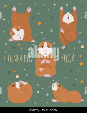 Meerschweinchen Yoga Posen und Übungen. Cute cartoon Clipart eingestellt. Vector Illustration Stock Vektor