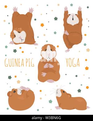 Meerschweinchen Yoga Posen und Übungen. Cute cartoon Clipart eingestellt. Vector Illustration Stock Vektor