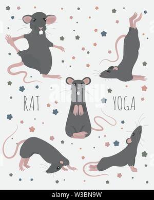 Ratte Yoga Posen und Übungen. Cute cartoon Clipart eingestellt. Vector Illustration Stock Vektor