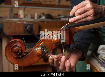 Die gitarrenbaumeister baut eine Doublebass in seiner Werkstatt Stockfoto