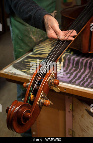 Die gitarrenbaumeister baut eine Doublebass in seiner Werkstatt Stockfoto