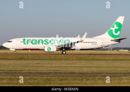 Niederländische Transavia Boeing 737-800 mit der Registrierung PH-Hzn nehmen auf auf Start- und Landebahn 36L (Polderbaan) der Flughafen Amsterdam Schiphol. Stockfoto