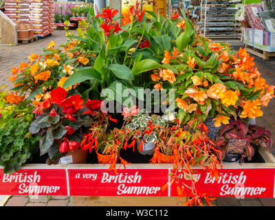 Eine Anzeige der bunten Topfpflanzen Blumen für den Verkauf in einem North Yorkshire Garten Center gefördert als - eine sehr britische Sommer Stockfoto