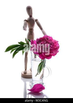 Pfingstrosen in einem Glas Vase auf weißem Hintergrund. Romantisches Geschenk. Vertikaler Dampfstoß Stockfoto