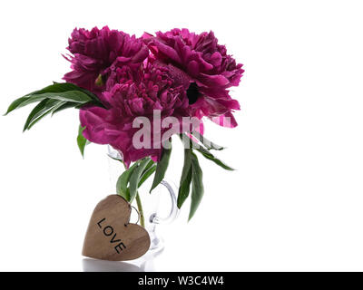 Pfingstrosen in einem Glas Vase auf weißem Hintergrund. Romantisches Geschenk Stockfoto