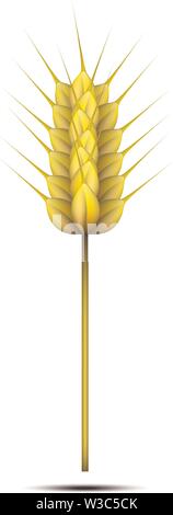 Weizen Spike auf weißem Hintergrund. Vector Illustration Stock Vektor