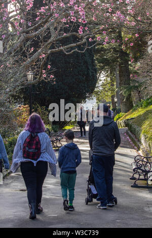 Wanderer in Botanischen Gärten, Wellington, Neuseeland Stockfoto