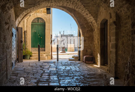 Giovinazzo, Stadt in der Provinz Bari, Apulien (Puglia), Süditalien. Stockfoto