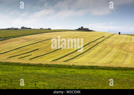 Ein Landwirt Grasernte für silage an Hoxa, South Ronaldsay, Orkney Inseln, Schottland, Großbritannien. Stockfoto
