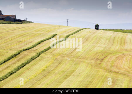 Ein Landwirt Grasernte für silage an Hoxa, South Ronaldsay, Orkney Inseln, Schottland, Großbritannien. Stockfoto