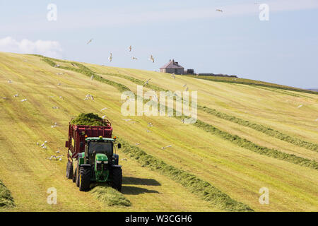 Ein Landwirt Grasernte für silage an Hoxa, South Ronaldsay, Orkney Inseln, Schottland, Großbritannien. Stockfoto