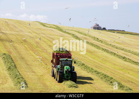 Ein Landwirt Grasernte für silage an Hoxa, South Ronaldsay, Orkney Inseln, Schottland, Großbritannien. Stockfoto
