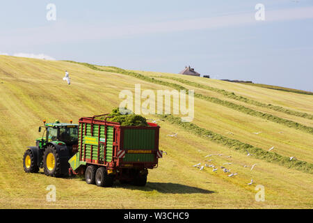 Ein Landwirt Grasernte für silage an Hoxa, South Ronaldsay, Orkney Inseln, Schottland, Großbritannien. Stockfoto
