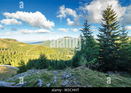 Wald am Rande eines Hügels Fichte. atemberaubende Landschaft des Apuseni Naturpark von Rumänien. sonnigen Nachmittag Wetter im Herbst. Fluffy Clouds auf einem blauen Stockfoto