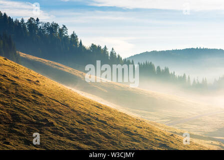 Nebel über den bewaldeten Hügel bei Sonnenaufgang. schönen Herbst Wetter mit blauem Himmel über der Piste mit verwitterten Gras. atemberaubende Landschaft in Mou Stockfoto