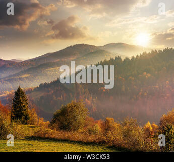Wunderschöne Landschaft in den Bergen bei Sonnenuntergang im Abendlicht. Bäume am Rande eines grünen Wiese. Hügel in der Ferne. Wetter. Stockfoto