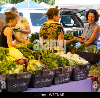 Rochester, NY - 14. Juli 2019: Brighton Farmers Market an einem sonnigen Sommertag mit Familien, Unterhaltung und Anbietern. Stockfoto