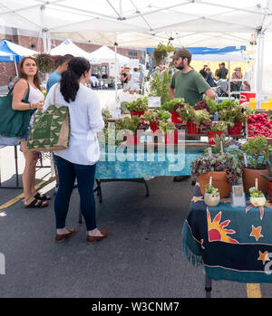 Rochester, NY - 14. Juli 2019: Brighton Farmers Market an einem sonnigen Sommertag mit Familien, Unterhaltung und Anbietern. Stockfoto