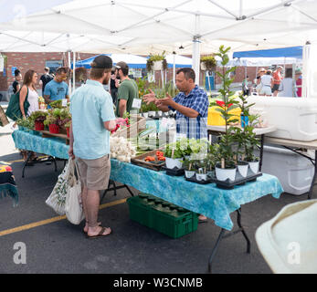 Rochester, NY - 14. Juli 2019: Brighton Farmers Market an einem sonnigen Sommertag mit Familien, Unterhaltung und Anbietern. Stockfoto