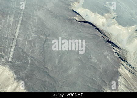 Hummingbird Glyphe auf die Nazca-linien in Peru Stockfoto