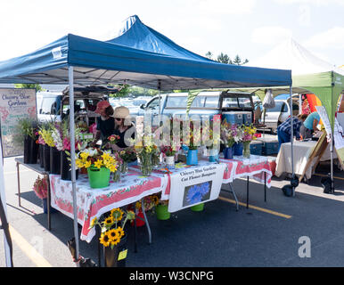 Rochester, NY - 14. Juli 2019: Brighton Farmers Market an einem sonnigen Sommertag mit Familien, Unterhaltung und Anbietern. Stockfoto