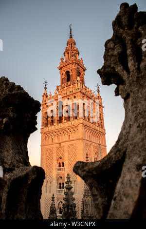Der Giralda von Sevilla, Spanien Kathedrale. Der Turm wurde als Minarett der Großen Moschee von Sevilla aus dem maurischen Spanien. Stockfoto