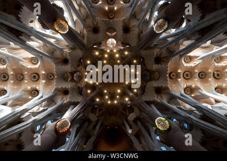 Sie suchen den Zentrum der Sagrada Familia in Barcelona, Spanien Stockfoto