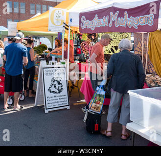 Rochester, NY - 14. Juli 2019: Brighton Farmers Market an einem sonnigen Sommertag mit Familien, Unterhaltung und Anbietern. Stockfoto