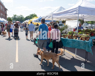 Rochester, NY - 14. Juli 2019: Brighton Farmers Market an einem sonnigen Sommertag mit Familien, Unterhaltung und Anbietern. Stockfoto